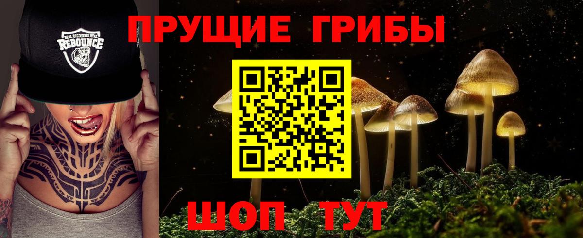 Тимашёвск  Псилоцибиновые грибы Cubensis  Галлюциногенные грибы Psilocybine cubensis  Вход с VPN 
